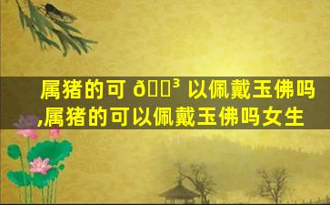 属猪的可 🐳 以佩戴玉佛吗,属猪的可以佩戴玉佛吗女生